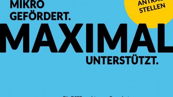 DSEE vergibt Mikroförderungen - Antragstellung ab 15. Januar 2025