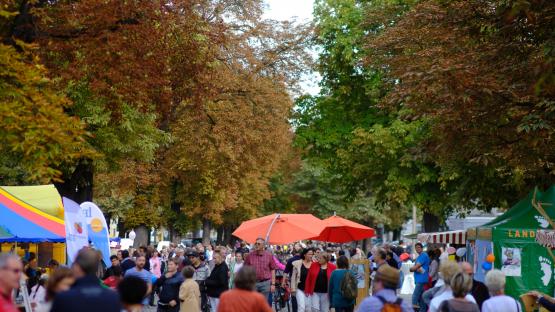 Verein(t) am Meridian. Kennenlernen. Vernetzen. Stärken
