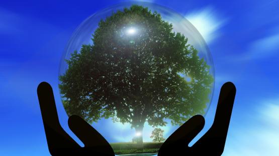 Klimaschutz im Vereinswesen - Ein Wegweiser für Kulturfördervereine (und alle anderen)
