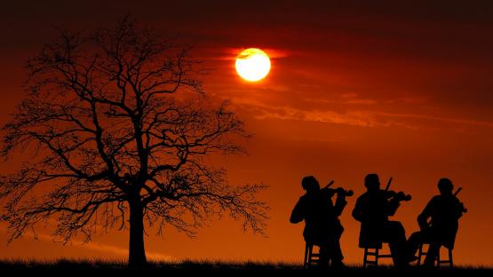 Engagieren gegen Einsamkeit in ganz Sachsen